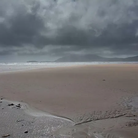 - Paddy's Atlantic View *